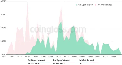 Stav opcií Bitcoinu