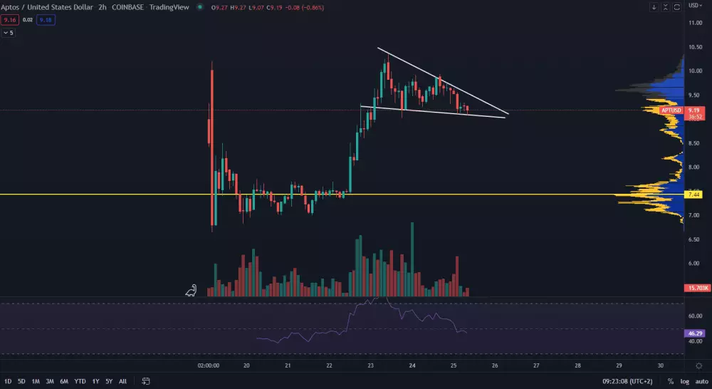 Aptos: trhová cena. Zdroj: TradingView