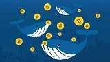 Bitcoin a veľryby