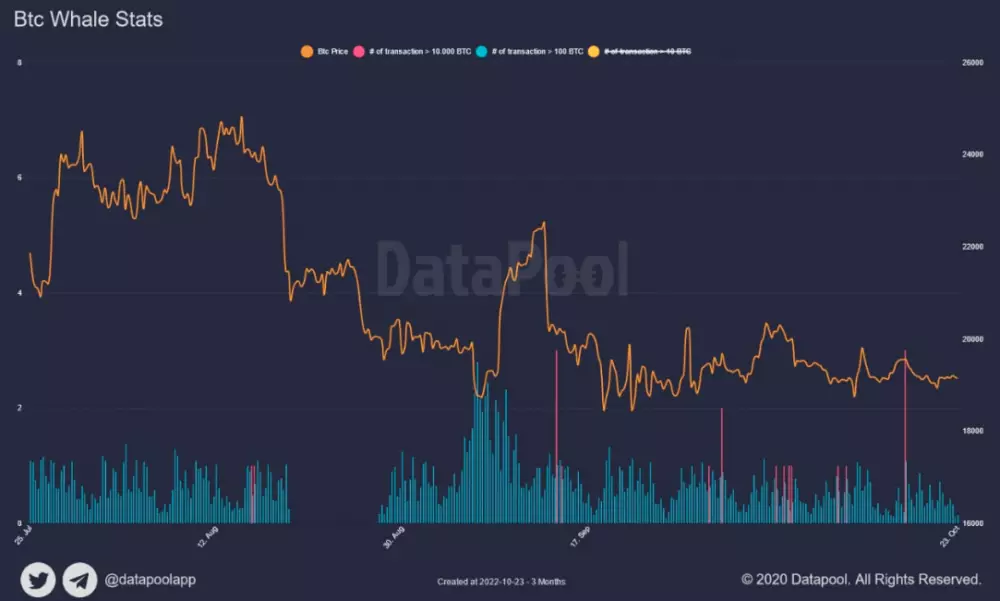 Bitcoin: aktivita veľrýb