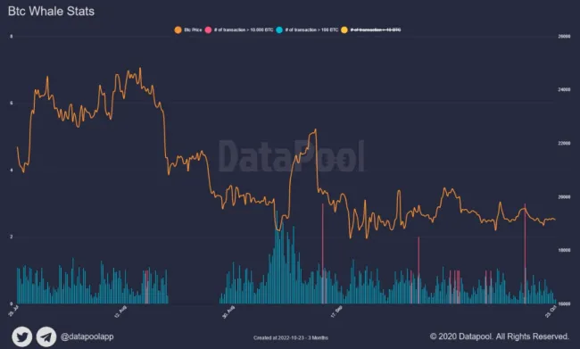 Bitcoin: aktivita veľrýb