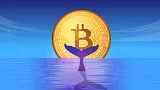 Bitcoinoví milionári nakupovali na cene 18 000 dolárov