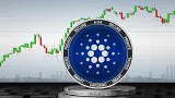 Cardano raketovo rastie