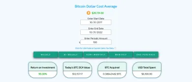 DCA investovanie do Bitcoinu za posledný rok