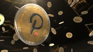 Polkadot a vývojárska aktivita