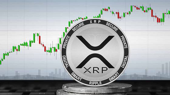 XRP a veľkí investori