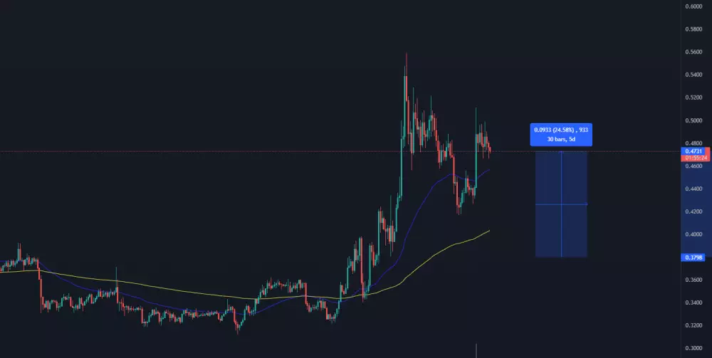 XRP/USDT