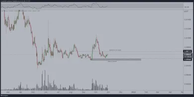 Analýza tokenu RSR od Van de Poppeho