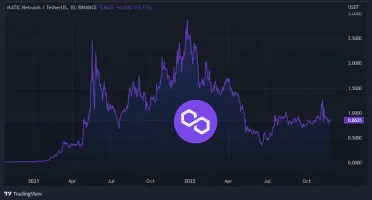 Graf na dnes: MATIC/USDT. 1D