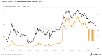 Počet milionárskych peňaženiek BTC