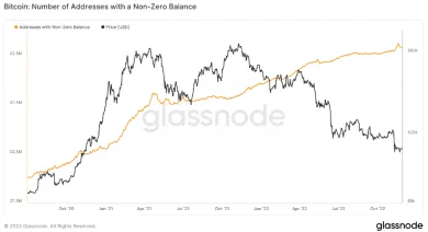 Nenulové peňaženky BTC