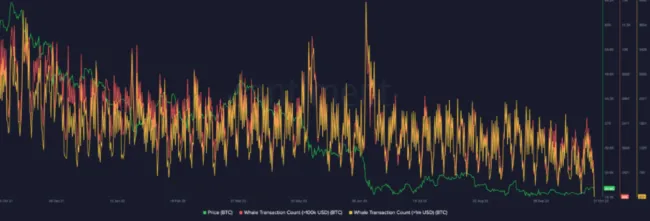 Počet transakcií veľrýb