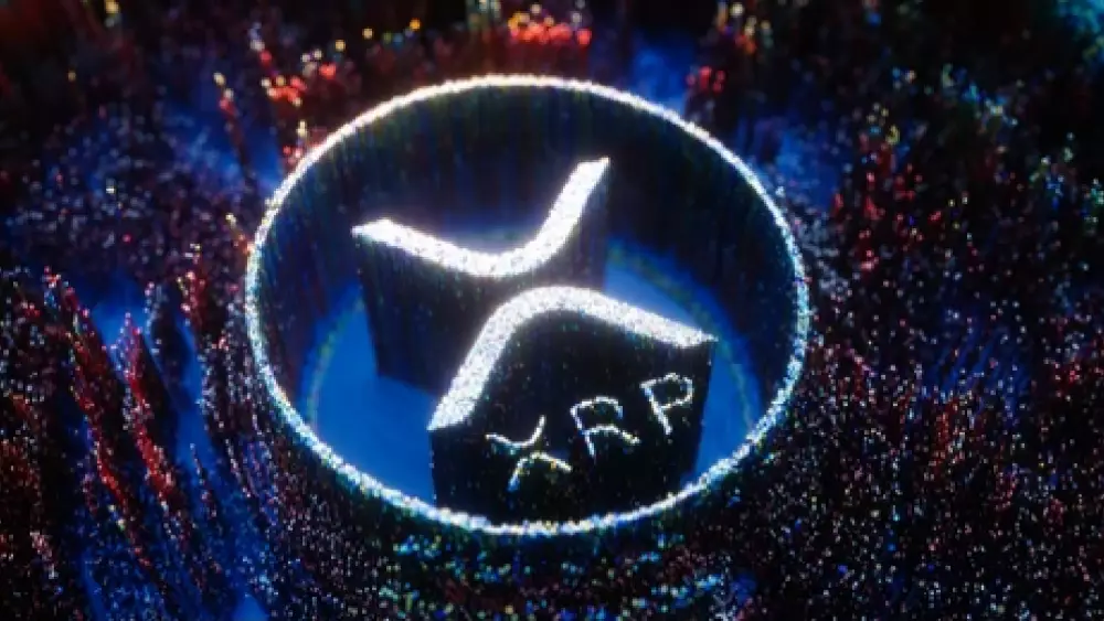 XRP a miliónové peňaženky