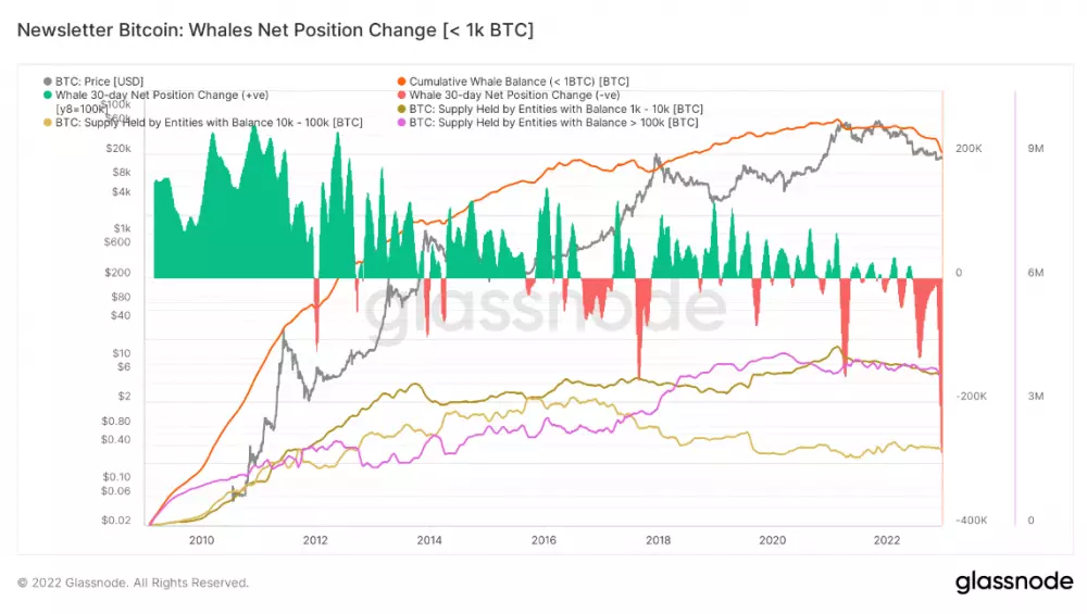 Bitcoin: držitelia podľa množstva BTC.