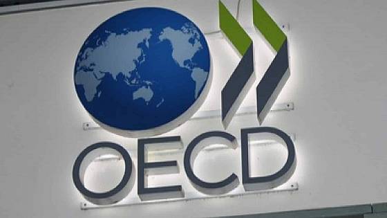 Správa OECD o kryptomenách