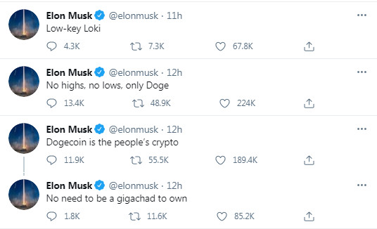 Tweety Elona Muska o Dogecoine