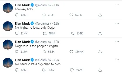 Tweety Elona Muska o Dogecoine