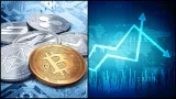 Bitcoin a altcoiny