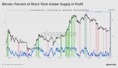 Bitcoin: krátkodobí držitelia signalizujú maximum