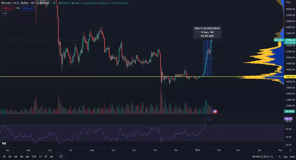 Bitcoin narástol o 35 % za 2 týždne