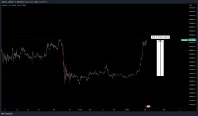 Bitcoin tento rok vyrástol na 21 000 dolárov