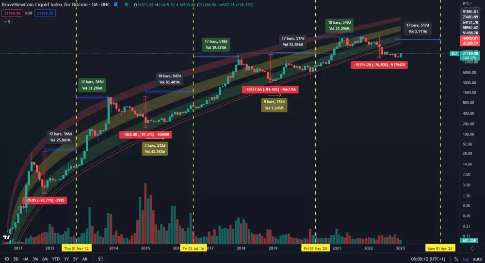 Bitcoin: dlhodobé bubliny