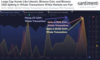 Nárast transakcii LTC a BNB