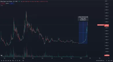 Babydoge trhová cena