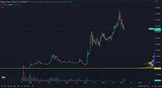 Binance coin raketovo stúpol