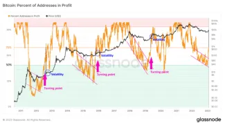 Bitcoin: adresy v zisku