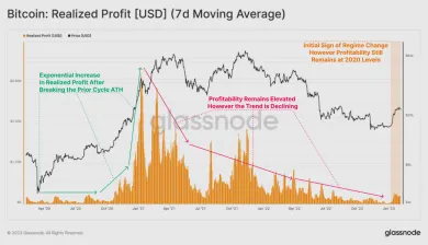Bitcoin: realizované profity z januára