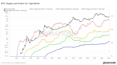 Bitcoin: skupiny držiteľov