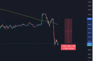 Pokles natívneho tokenu bnb