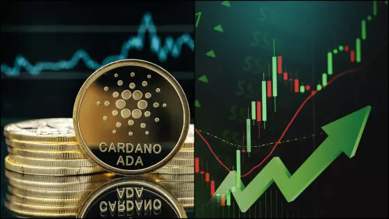 Cardano sa chystá na nový update