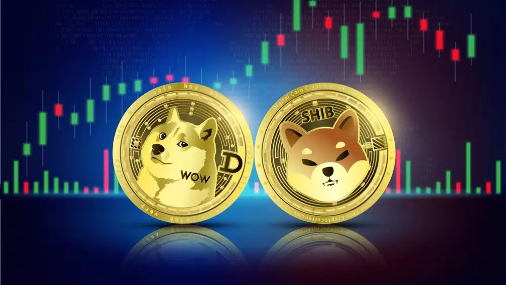 Dogecoin a Shiba Inu