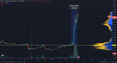 STX patrí medzi najziskovejšie kryptomeny