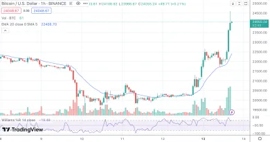 BTCUSD 1H graf.