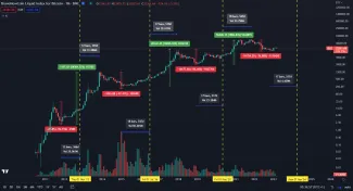 Bitcoin: dlhodobé halvingové cykly