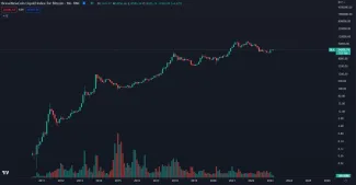 Bitcoin dlhodobo rastie