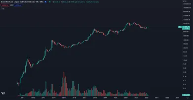 Bitcoin dlhodobo rastie