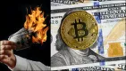 Bitcoin verzus dolár