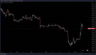 Bitcoin začal prekvapivo rásť