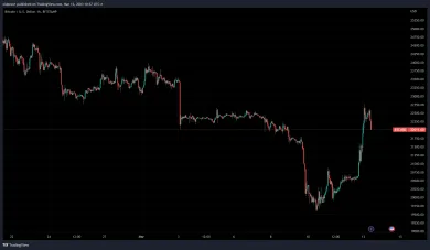 Bitcoin začal prekvapivo rásť