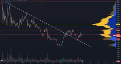 Cardano opäť stúpa