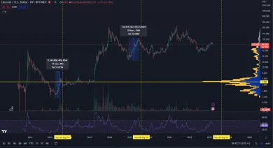 Litecoin: halvingové cykly