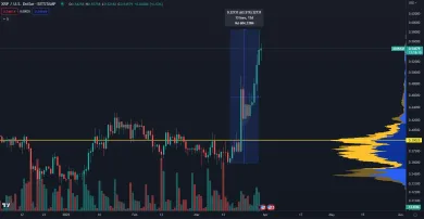 XRP je najziskovejšia kryptomena