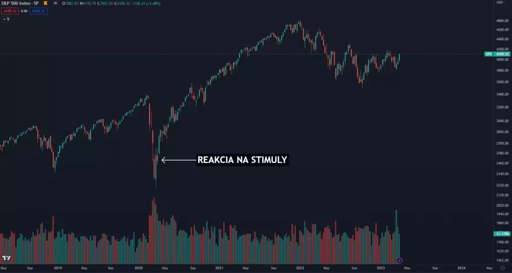 Akcie a ich reakcia na stimuly v roku 2020