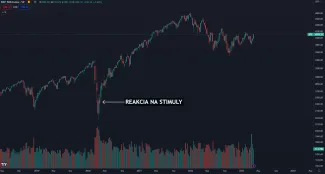 Akcie a ich reakcia na stimuly v roku 2020