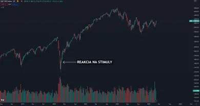 Akcie a ich reakcia na stimuly v roku 2020