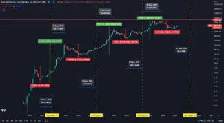 Bitcoin a halvingové cykly